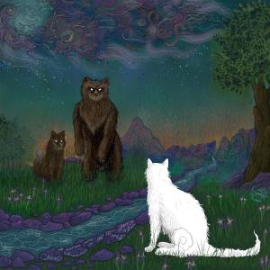 收聽Shahryar的Taraj歌詞歌曲