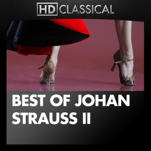收聽St. Petersburg Radio Symphony Orchestra的An der Schönen Blauen Donau (On the Beautiful Blue Danube), Op. 314: Waltz歌詞歌曲