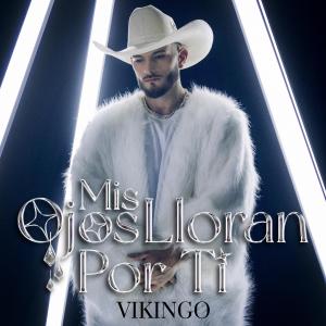 收聽Vikingo的Mis Ojos Lloran Por Ti (Version Regional Banda)歌詞歌曲
