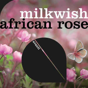 African Rose dari Milkwish