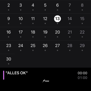 Album ALLES OK from Ström