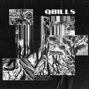 Listen to Root song with lyrics from Qbills