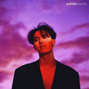 Patrickananda的專輯LAVNDR