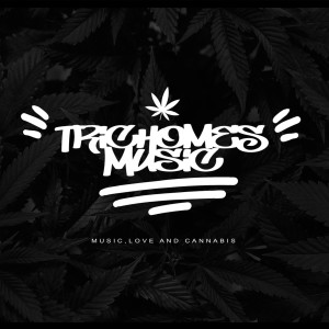 ดาวน์โหลดและฟังเพลง ALAPUFFPUFF (feat. PIECE OF MIND) (Explicit) พร้อมเนื้อเพลงจาก Trichomes