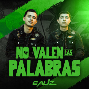 Album No Valen Las Palabras (Studio) from 
