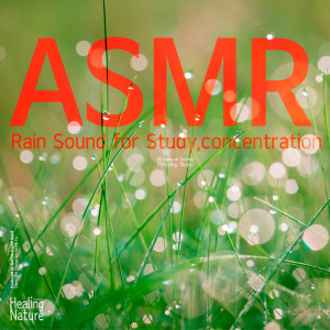 Listen to Rain in the Spring(Team Malibu) song with lyrics from 힐링 네이쳐 Nature Sound Band