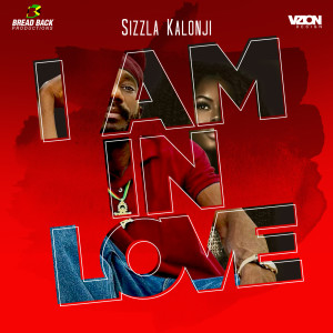 Listen to I'm in Love song with lyrics from Sizzla Kalonji