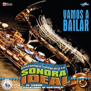 收聽Marimba Orquesta Sonora Ideal的Sandrita歌詞歌曲