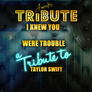 ดาวน์โหลดและฟังเพลง I Knew You Were Trouble (A Tribute to Taylor Swift) พร้อมเนื้อเพลงจาก Ameritz Top Tracks