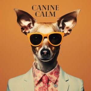 Album Canine Calm from Music for Dog's Ears