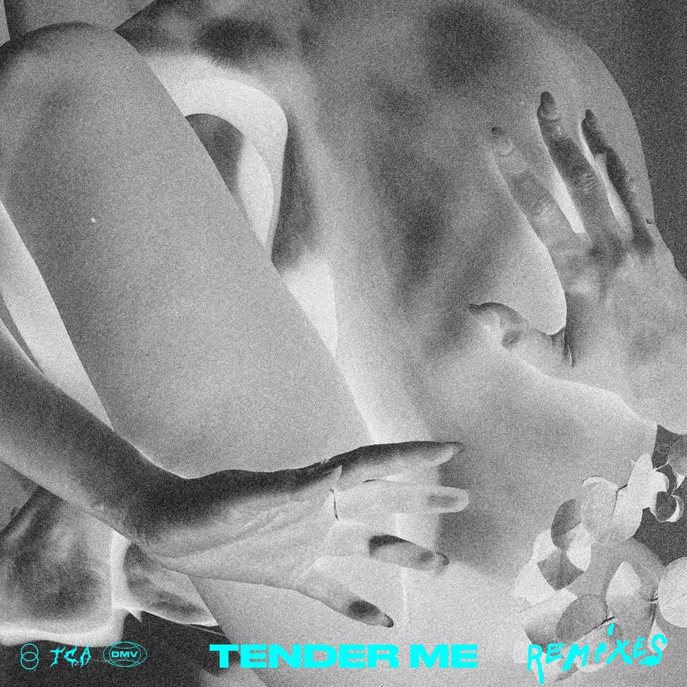 Tender Me (The Subs Extended Remix)