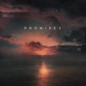 ดาวน์โหลดและฟังเพลง Promises (feat. 4ever Falling) พร้อมเนื้อเพลงจาก Swim