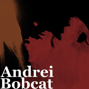 收听Andrei的Bobcat歌词歌曲