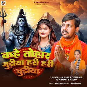 Album Kahe Tohar Gudiya Hari Hari Chudiya from A Amar Diwana