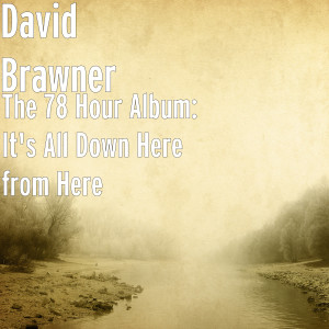 收聽David Brawner的Have You Ever Been Bitten?歌詞歌曲