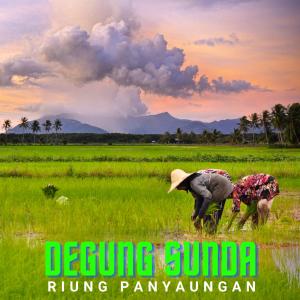 Listen to Sayogi (feat. Rahmat) song with lyrics from Juju Julaeha