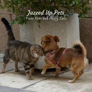 Piano Relaxation的專輯Jazzed Up Pets: Piano Paws and Fluffy Tails
