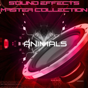 ดาวน์โหลดและฟังเพลง Animal Cat Tabby Meow03 Sound Effect Sfx Background พร้อมเนื้อเพลงจาก Sound Effects Master Collection
