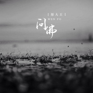 Listen to 问佛 (DJ默涵版) song with lyrics from 彤大王