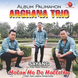 Dengarkan Holan Ho Do Hallethu lagu dari Arghana Trio dengan lirik