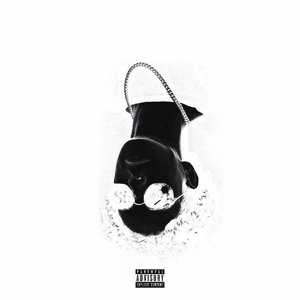 MOTIONS (Explicit)