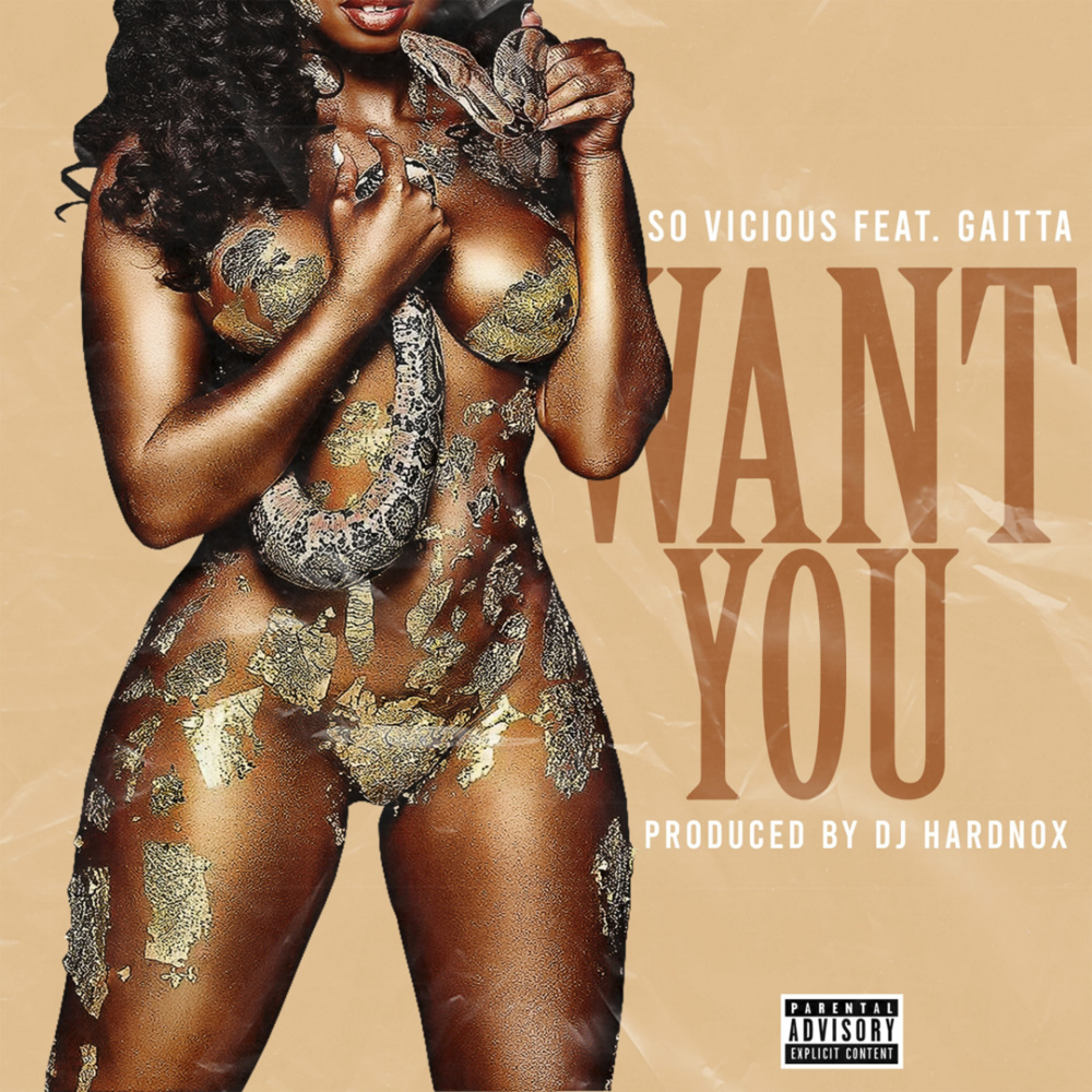 Want You (Explicit)