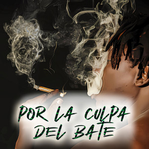 Album Por La Culpa Del Bate (Explicit) from DJ Kruel