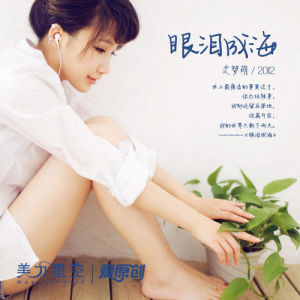 收聽艾夢萌的眼淚成海DJ版歌詞歌曲