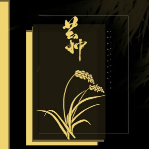 Album 芒种 from 音阙诗听
