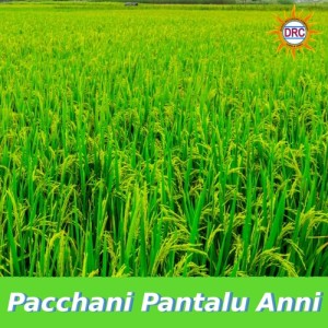 Album Pacchani Pantalu Anni oleh Dasa Laxmi