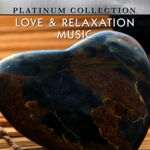 ดาวน์โหลดและฟังเพลง Ubiquitous พร้อมเนื้อเพลงจาก Platinum Collection Band