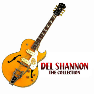 ดาวน์โหลดและฟังเพลง Hey! Little Girl พร้อมเนื้อเพลงจาก Del Shannon