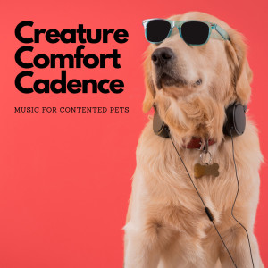 Album Creature Comfort Cadence: Music For Contented Pets oleh Calming Music For Pets