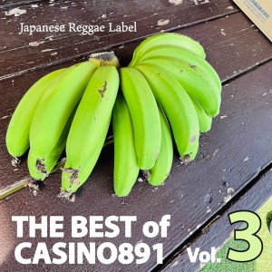 Listen to ハタチのさようなら song with lyrics from miko