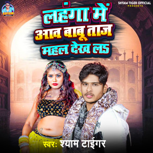 Listen to Lahanga Me Aaw Babu Taj Mahal Dekh La song with lyrics from Shyam Tiger