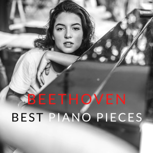 ดาวน์โหลดและฟังเพลง Pathetique Sonata Second Movement พร้อมเนื้อเพลงจาก Ludwig van Beethoven