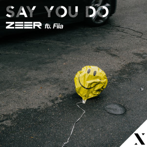 Album Say You Do from Zeer