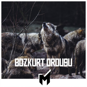 收聽Mt的Bozkurt Ordusu歌詞歌曲