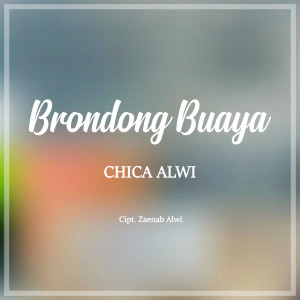 Listen to Brondong Buaya song with lyrics from Chica Alwi