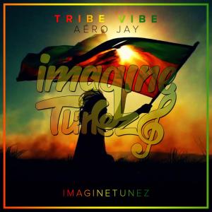 Listen to Tribe Vibe song with lyrics from Aéro Jay