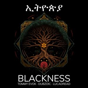 Dubzoic的專輯Blackness