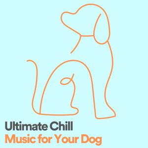 Ultimate Chill Music for Your Dog