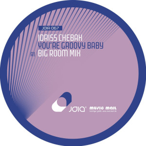 ดาวน์โหลดและฟังเพลง Your Groovy Baby (Club Mix) พร้อมเนื้อเพลงจาก Idriss Chebak