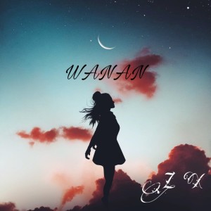Album 晚安(WANAN) from 张新