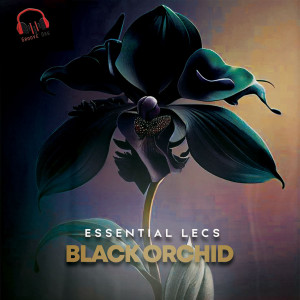 Essential Lecs的专辑Black Orchid