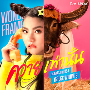 ดาวน์โหลดและฟังเพลง ควายเท่านั้น พร้อมเนื้อเพลงจาก WONDERFRAME