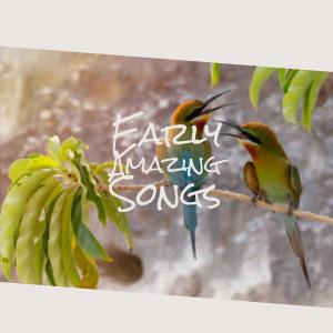 Listen to She Christmas song with lyrics from Solene Beven