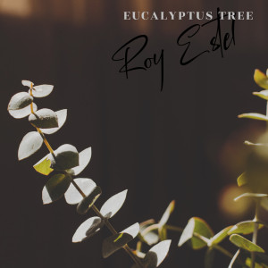 Listen to Bryan and Garrett song with lyrics from Roy Estel