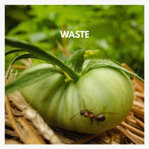 ดาวน์โหลดและฟังเพลง Waste พร้อมเนื้อเพลงจาก Tophouse