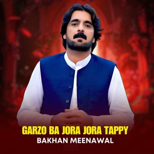 Album Garzo Ba Jora Jora Tappy from Bakhan Meenawal